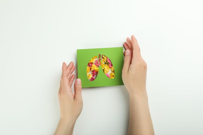 Hands holding lung shape cut out of green paper with yellow flowers underneath, pollen concept