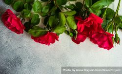 Red roses on top of marble counter with copy space 4d87zA