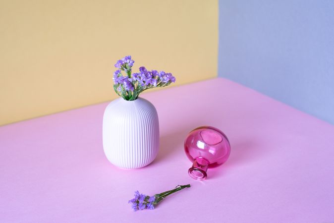 Violet sea lavender flowers in a multicolor background