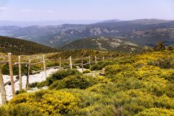 Picturesque landscape of green mountains in summer