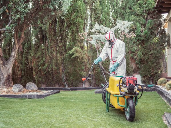 Specialist in uniform for fumigation holding yellow trolley in yard