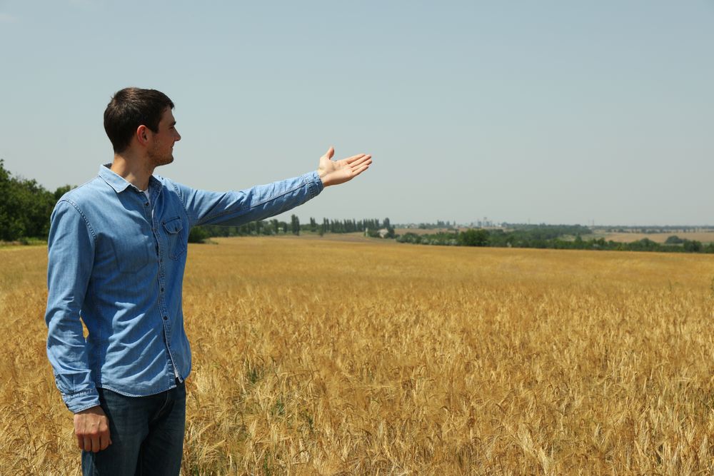Young man in barley field. Agriculture business. Farming
