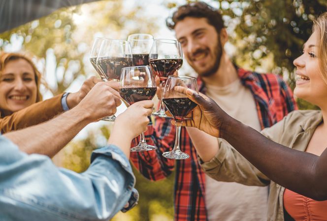 Happy group of friends cheerfully toasting with glasses of red wine, enjoying a sociable moment outdoors