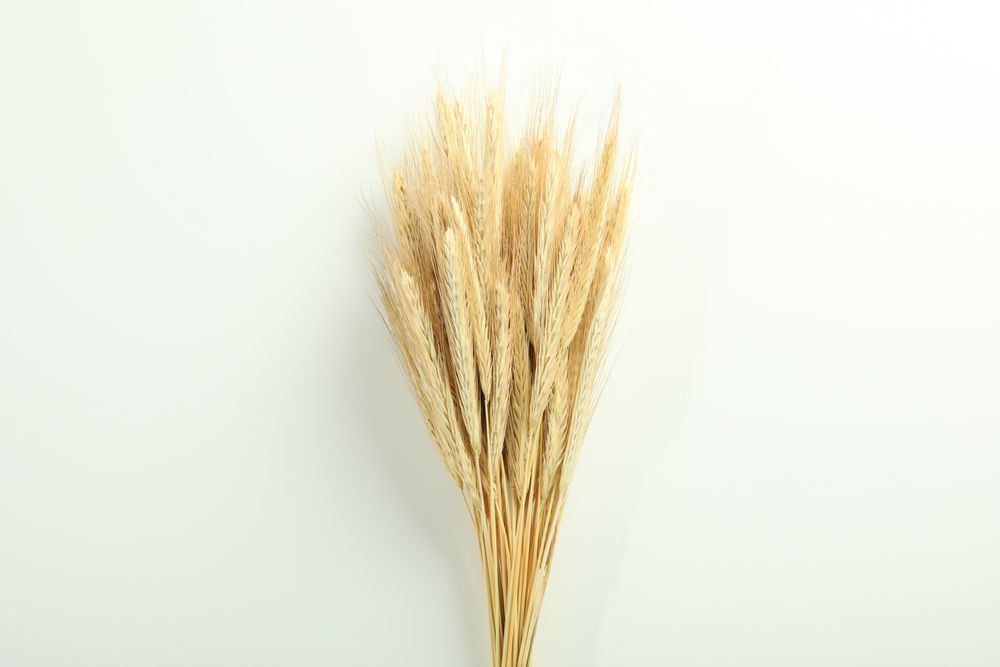 Top view of bunch of dried flowers centered in composition