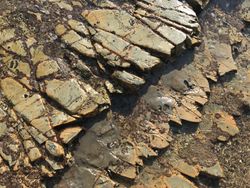 Green and tan rock texture
