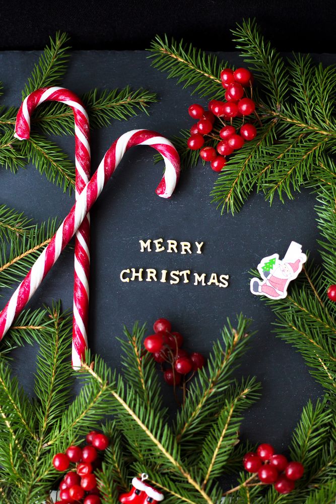 Candy with branches of trees, and inscription Merry Christmas