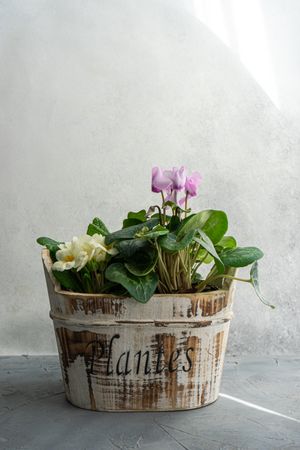 Floral composition in rustic pot