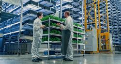 Agricultural Engineer and Young Female Scientist Discussing Basil Leaves Quality a Modern Vertical Farm. Gardening Expert Providing Technical Advice for Growing Sustainable Green Produce