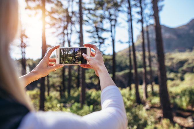 Woman taking photograph using a mobile phone in forest