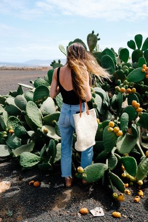 Woman standing among large prickly pear plant in Lanzarote
