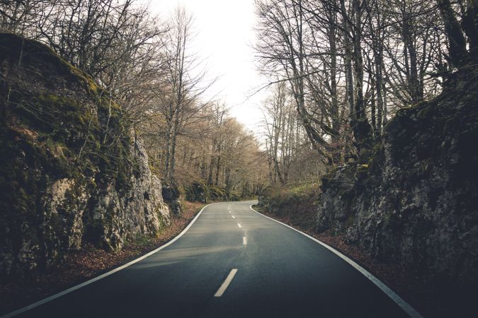 Empty road leading through leafless forest
