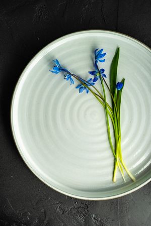 Spring table setting with blue scilla siberica