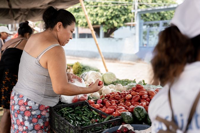 An adult Hispanic woman is choosing tomatoes in a street market