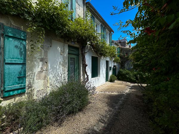 Overgrown side alley on la Grande Rue, La Couarde-sur-Mer, France