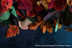 Top view of autumn leaves 42rJe4