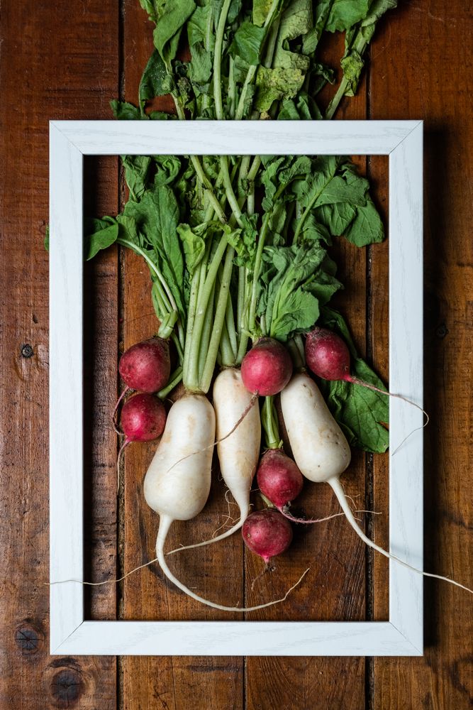 Fresh organic radish and turnips in a white frame on a dark wooden table