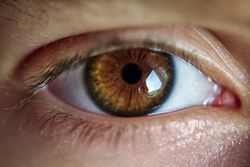 Brown eye with long eyelashes of person
