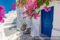 Small stair lane in Santorini with blue door and pink flowers 4jmBR5