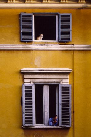 Rome, Italy - Feb 2, 2004 - Man smokes out of window with cat above