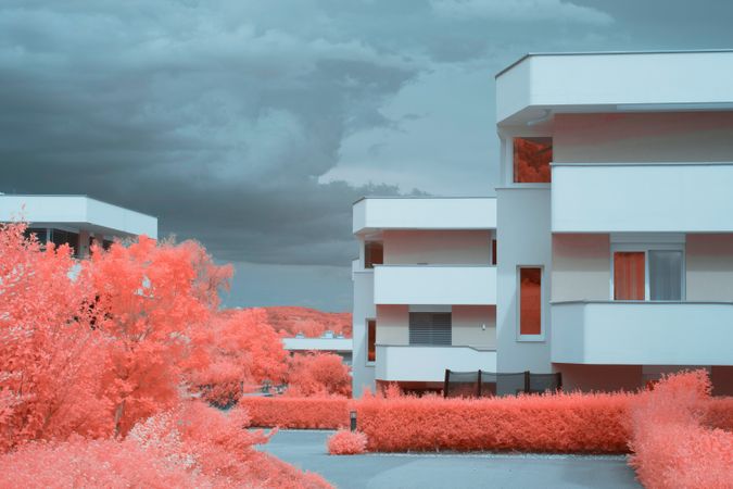 Infrared trees near suburban houses