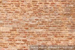 Red brick wall 5rRmd5