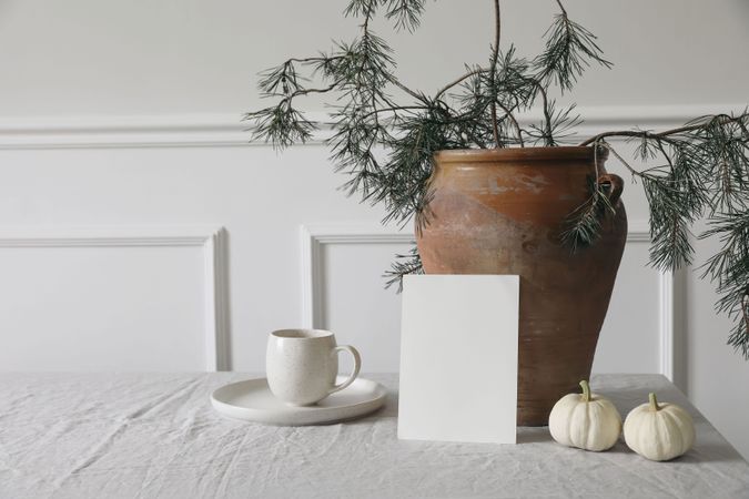 Pine tree branches in old vase, with light pumpkins and mock up card