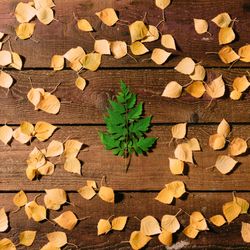 Green leaf in shape of Christmas tree on autumn leaf wooden background