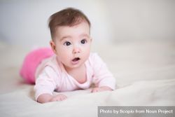 Studio shot of baby in pink pant and shirt crawling 56Ele0