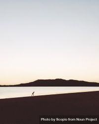 Silhouette of person standing on beach 0vWvg5