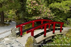 Red bridge in tranquil garden 5n2X85