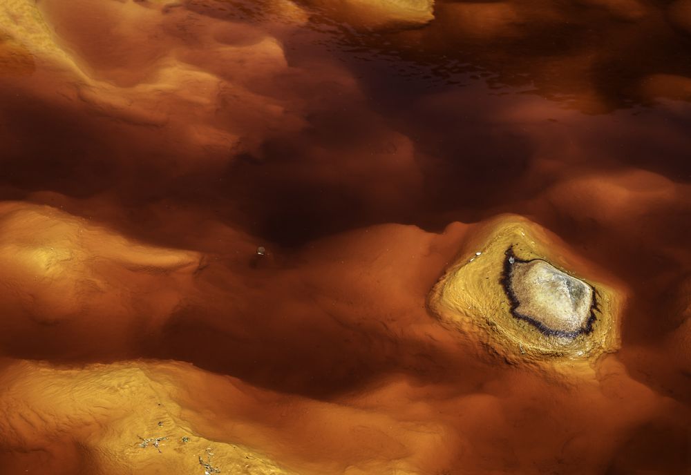 Bright orange splashes in nature