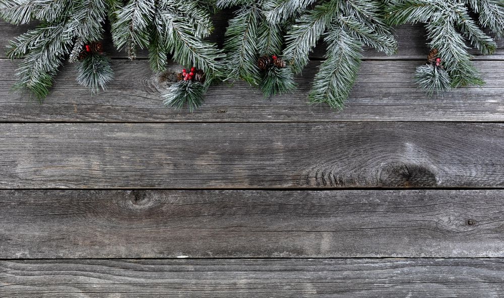Snowy fir with red berries on vintage wood for the holiday ocassion