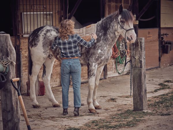 Unrecognizable woman putting pad on horse