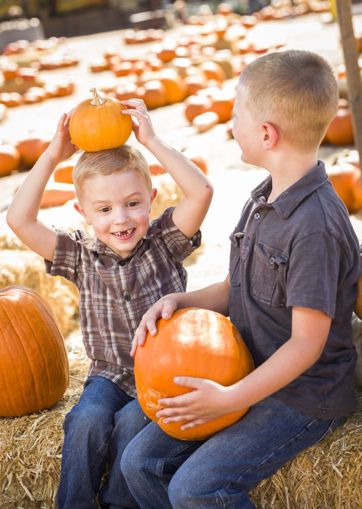 Two Boys at the Pumpkin Patch Talking and Having Fun.