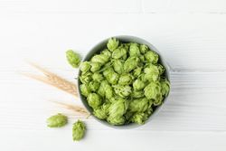 Bowl with hop and spikelets on wooden background, space for text
