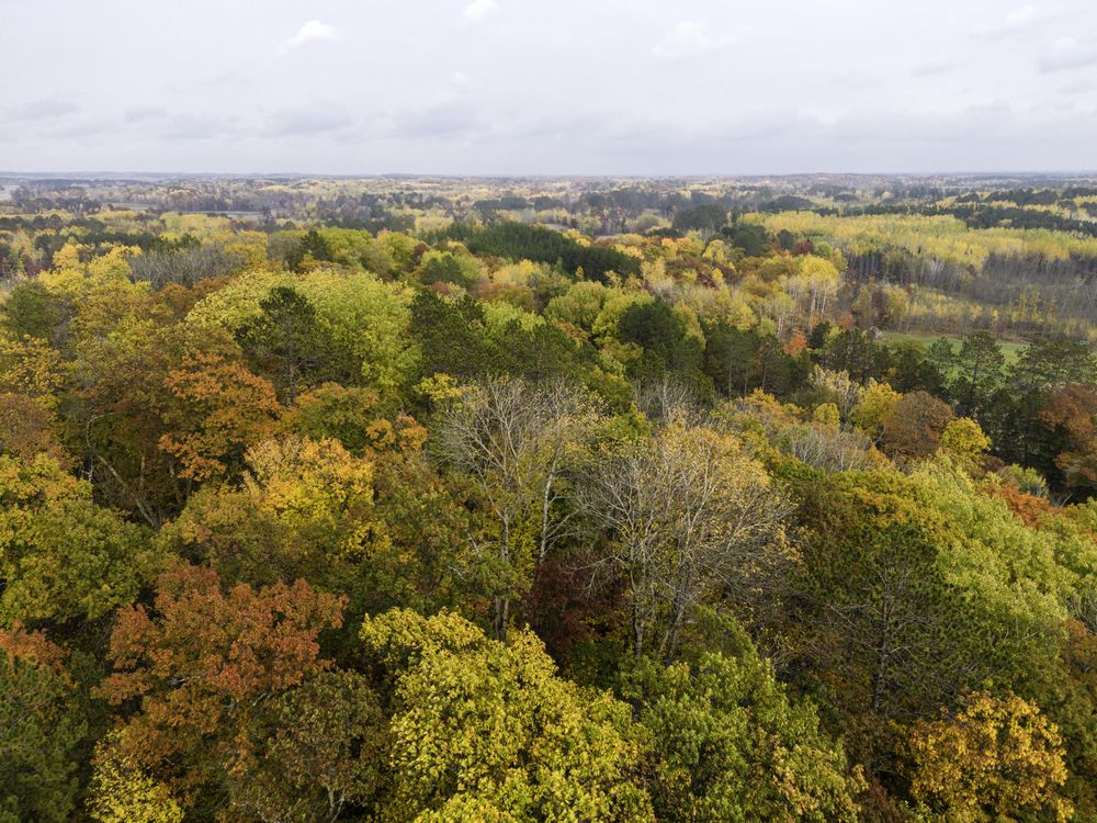 Fall trees at Big Sandy Lake in McGregor, Minnesota