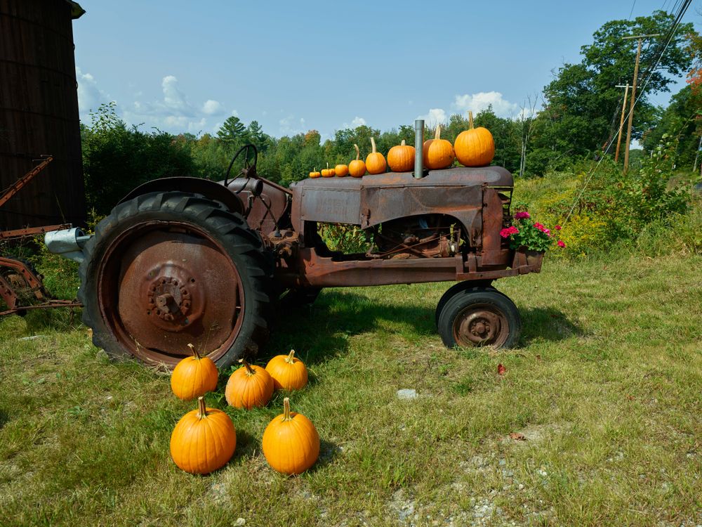 A farm scene near Denmark, Maine