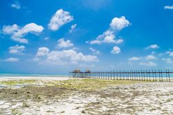 Pier with the tide out on a warm beach