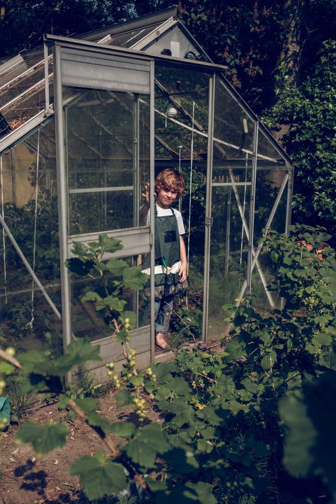 Content boy in apron in greenhouse