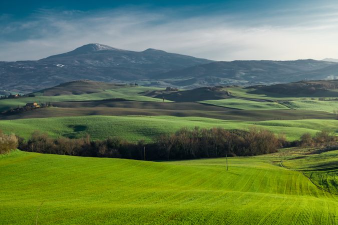Wonderful empty green fields