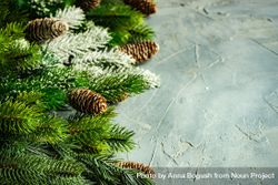 Wintry branch and pine cones on grey background with copy space bGdgl0