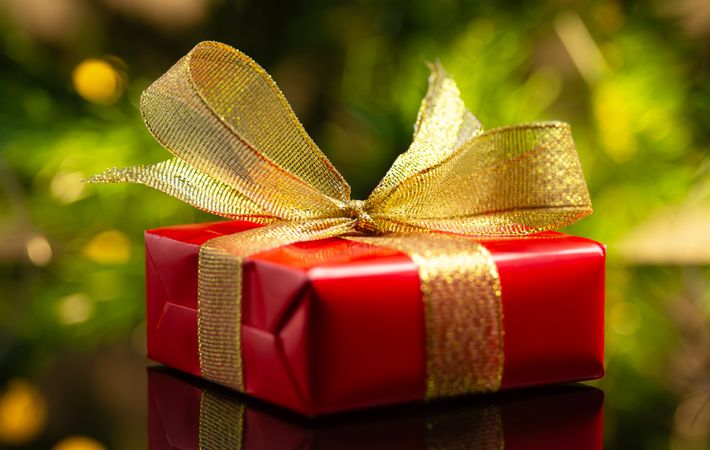 Christmas Gift Box Under Festive Tree