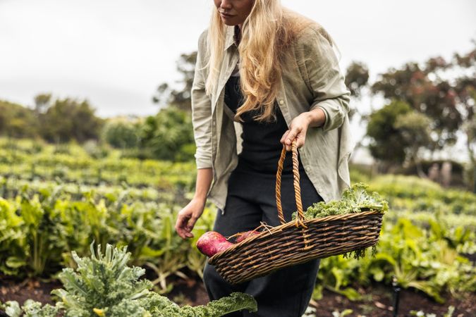 Unrecognizable woman with long blonde hair carrying a basket of fresh vegetables on a farm