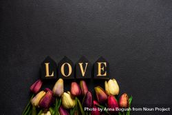 Tulips and the word "love" with dark background 5oDDpz