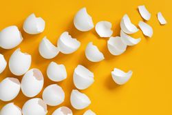 Broken shells on yellow background