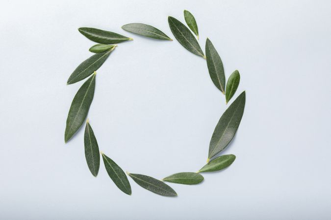 A circular wreath formed with olive leaves