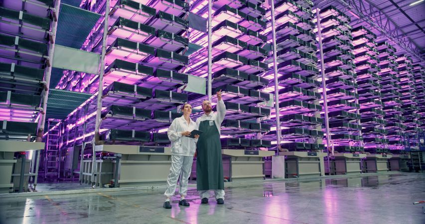 Technological Agriculture Center with Automated Hydroponics System. Operators Organizing Workflow, Using Software on Tablet Computer and Chatting About Work. Modern Indoors Vertical Farm Operations
