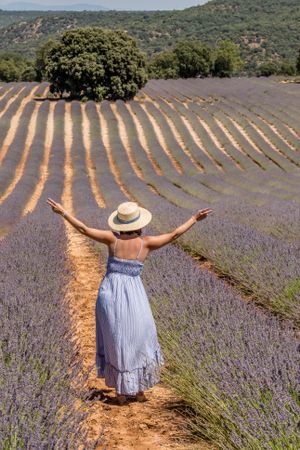 Woman with outstretched arms standing in lavender field