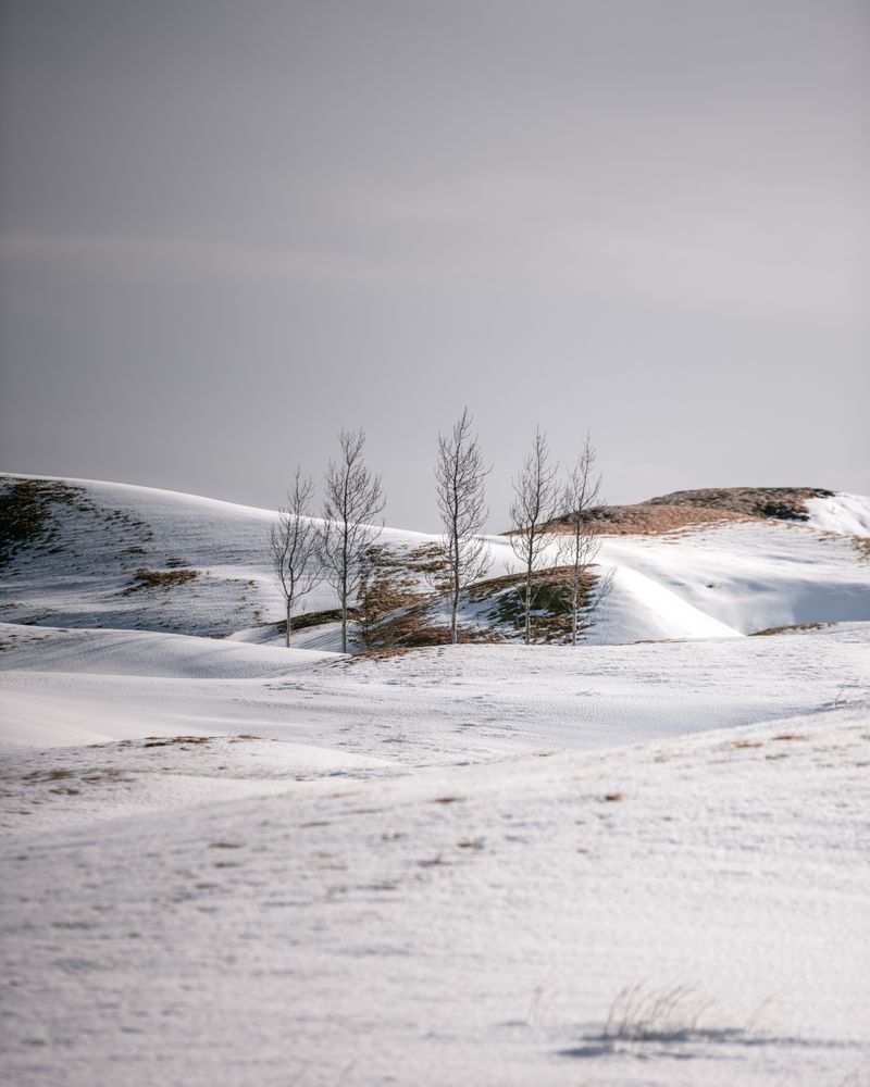Snowy mountains covering with the fog