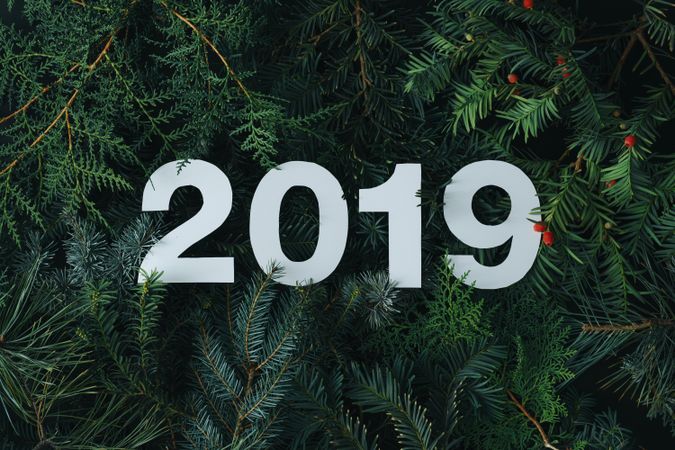 2019 cut out of paper on a green pine background